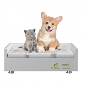 cama-box-pet-propet-luxo-cea-probel