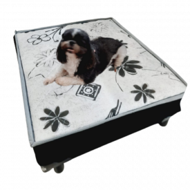 Cama Box Pet 59x69 Espuma D23 Ofertamo