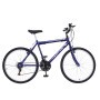 bic-aro26-traid-azul.jpg