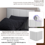 canvas_13.png