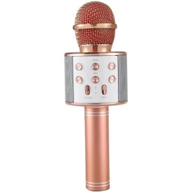 Microfone Infantil caixa de som WS-858