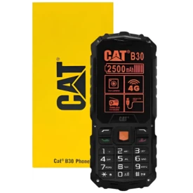 Celular Teclado Grande Capterpillar B30 4g Cor Preto/laranja