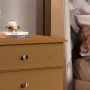 676a9d3f676bd_1111_nature_2_.png
