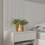 676a9cbf20f0d_branco_2__2_23.png