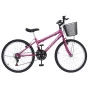 ARO_24_PINK.jpg